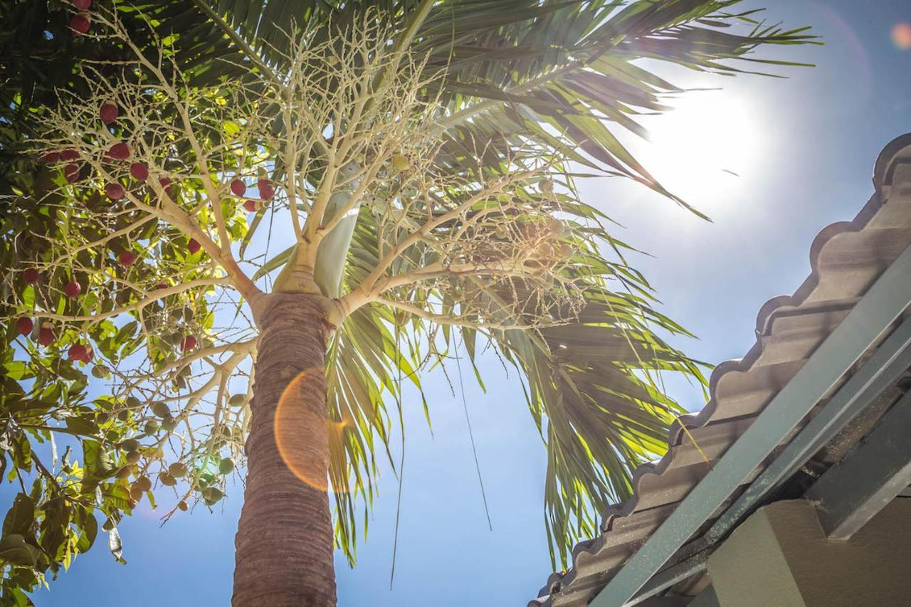 Mui Ne Hills Villa Hotel Kültér fotó